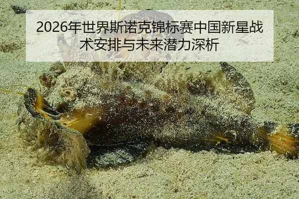 2026年世界斯诺克锦标赛中国新星战术安排与未来潜力深析